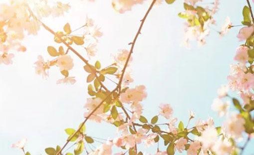 民國時期好聽的名字女
