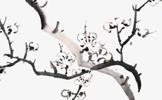 為什么女人八字當中財宜露不宜藏 女命財要露