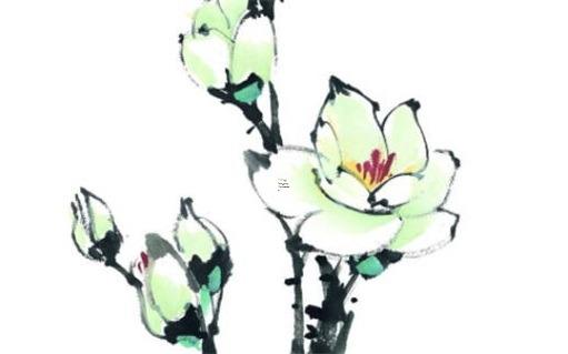 屬豬49歲是什么木命,屬豬49歲有災是不是身不好