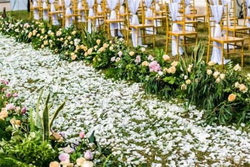 寧可裝傻，也不要自作聰明的星座