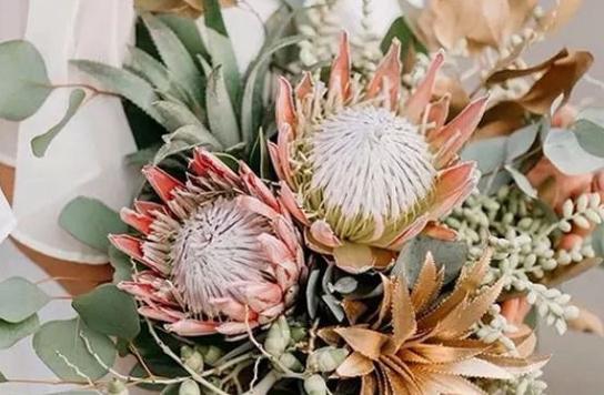 地球位于哪個(gè)星座 地球位于哪個(gè)星座