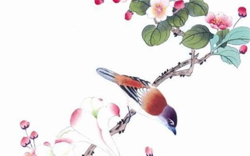 什么手術可以去掉八字紋 什么手術可以去掉八字紋手指