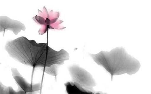 屬虎多大了,1999屬虎多大了