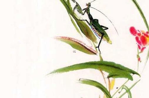 女屬猴男屬虎結(jié)婚好嗎,屬猴女屬虎男的結(jié)婚會(huì)怎樣