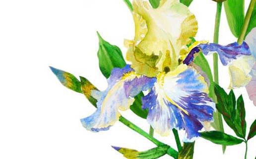 男孩子名字好聽的字 男孩子名字好聽的字