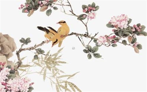 什么樣的八字容易家暴 什么樣的八字容易傷殘