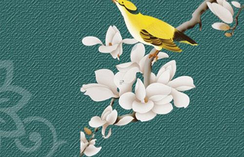 家里怎樣養(yǎng)好發(fā)財(cái)樹 家里如何養(yǎng)好發(fā)財(cái)樹 家里怎樣養(yǎng)好發(fā)財(cái)樹 家里如何養(yǎng)好發(fā)財(cái)樹