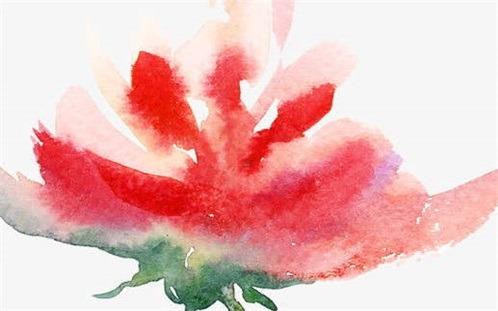 屬兔的63年今年多大 63年出生屬兔今年多大 屬兔的63年今年多大 63年出生屬兔今年多大