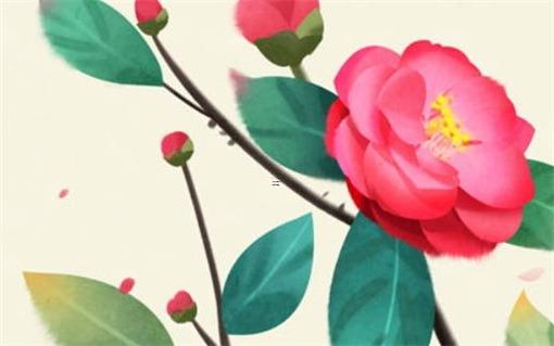 虎年屬龍人的各月運程 屬龍人在虎年的運勢