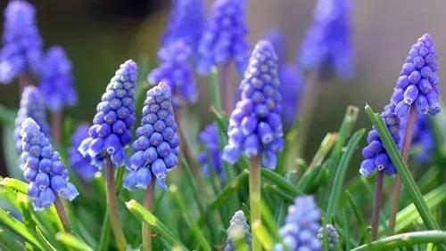 夢(mèng)見(jiàn)喝酒聚餐