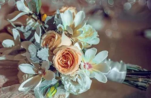 十二星座 信任 十二星座 信任