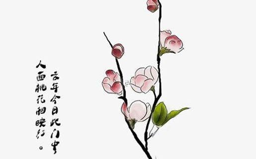 八字命盤正官和偏財(cái)稱為什么 八字命盤正官和偏財(cái)稱為什么
