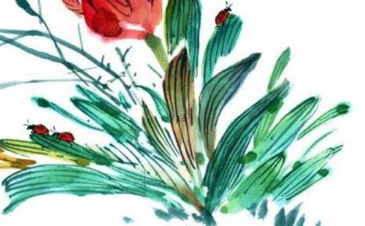 屬蛇的適合養(yǎng)什么花最好，屬蛇適合養(yǎng)什么花運(yùn)氣好