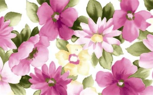 屬牛2023年多大年齡 屬牛2023年多大年齡