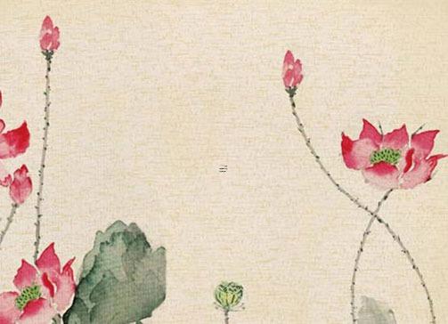 屬豬的人一生婚姻女性,屬豬女人的一生命運