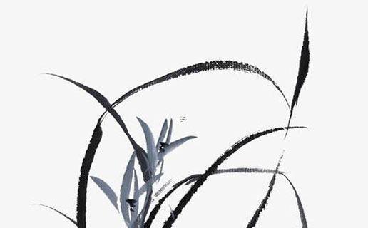 新八字屬什么 新八字屬什么五行屬性