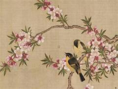 屬兔的適合找屬什么的結(jié)婚,屬兔適合找什么對象