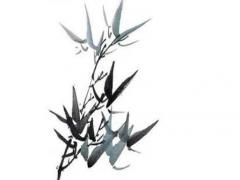 于姓名字大全2023屬兔