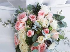 盤點12星座女生對應