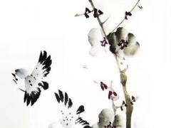 99年屬兔女學業,1999年兔女2023年學業