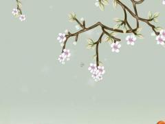 2023年屬龍今年多少歲了啊,2023年屬龍的人是什么命