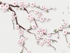 狐臭手術為什么八字綁 做了狐臭手術為什么要固定