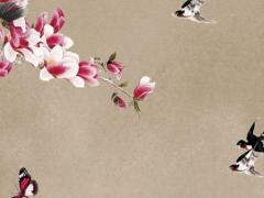 屬兔男與屬龍女婚配好不好,屬兔男和屬龍女合不合得來