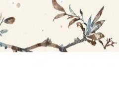 1999年屬兔的和屬兔的婚姻怎么樣 1999年屬兔的婚姻和命運如何