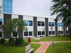 夢見鼻青臉腫 周公解夢之夢到鼻青臉腫