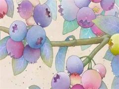 屬兔本命年吉祥詩句