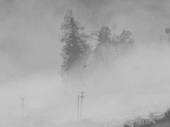 1974年屬虎命運與婚姻如何 1974年屬虎的命好不好