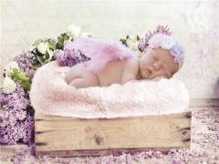 夢見我給了別人三個梨啥意思是什么意思