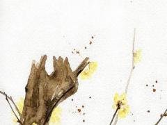 好聽的舞蹈隊名字活力