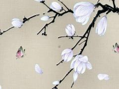 男屬兔女屬虎最佳屬相,男屬兔女屬虎相配命運如何