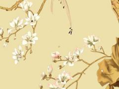 屬猴的幾兩 猴屬相多大