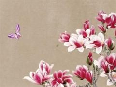 考試穿什么顏色八字 考試穿什么顏色最幸運(yùn)