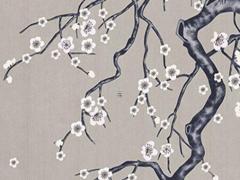 2023年屬猴天蝎座女人的全年運勢,屬猴天蝎座女生2023年運勢