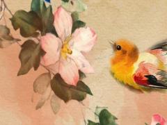 2023年虎人運(yùn)勢(shì)運(yùn)程,2023年虎人運(yùn)勢(shì)運(yùn)程1986年的虎女