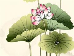 八字加刀能組成什么字 八字加刀是什么字