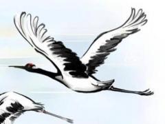 屬兔2023年的感情運勢如何