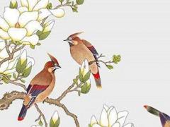 今年屬龍的人運程怎樣 今年屬龍的運程怎么樣