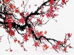 1967年屬猴人的壽命,67年的猴今年多大了