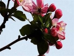 八字身旺和身弱有什么不同 八字中身旺和身弱是什么意思