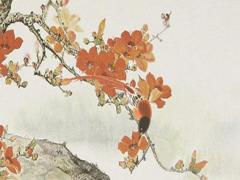 什么八字學歷高 什么八字的人學歷高