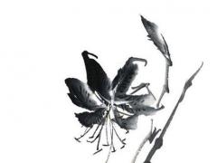 1988年屬龍人永遠(yuǎn)最旺的顏色 1988年屬龍適合什么顏色