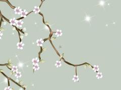 77年屬蛇人最合適的生肖,77年屬蛇的命運與婚姻