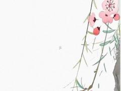 1999屬兔的愛情運 1999年屬兔女的婚姻感情運勢