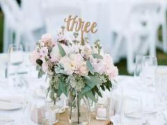 屬猴五行屬星座