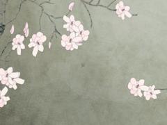 63年屬兔十月出生愛情運 63年農(nóng)歷十月兔男命運