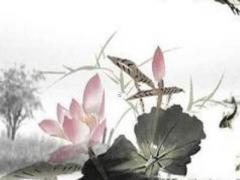 帝王八字有什么神奇之處 八字帝王什么意思